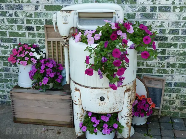 פרחים במכונת הכביסה הישנה