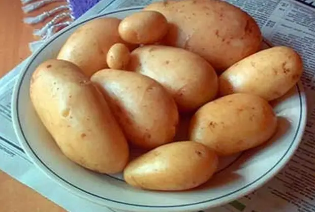Gewassen jonge aardappelen
