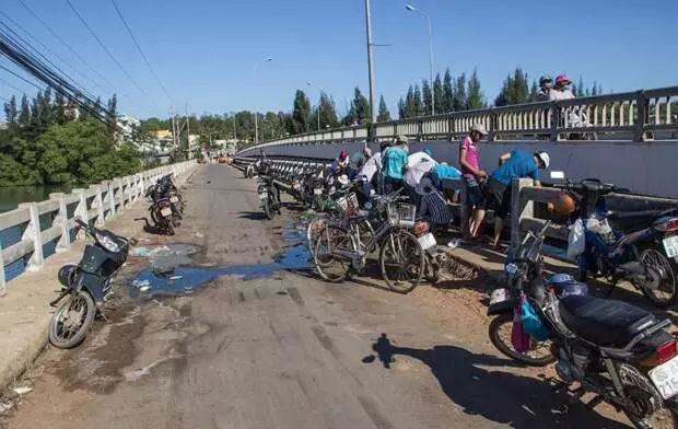 Cum să prindeți sticle de plastic din pește din vietnameză