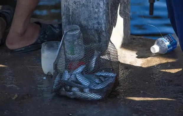 Kā noķert zivis ar vjetnamiešu plastmasas pudelēm (7 fotogrāfijas)