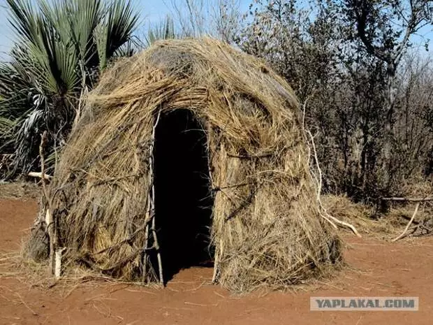 Gazebo sa nasud