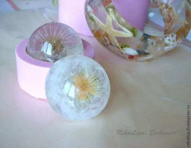 Dandelions ing Resin: Kelas Master