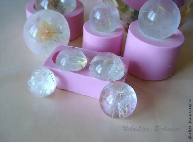 Dandelions ing Resin: Kelas Master