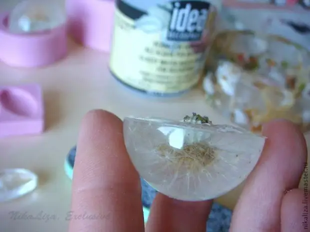 Dandelions in the resin: master class