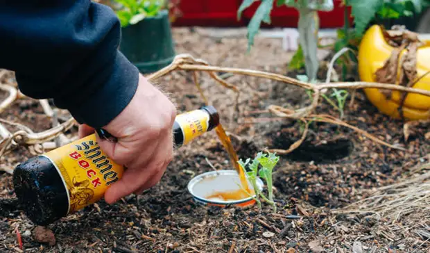 Lista de cosas increíbles que se pueden hacer con cerveza.