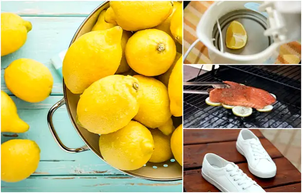 15 moduri incredibile de a utiliza Lemon în economie