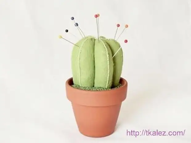 Paano Magtahi ng isang Needle "Cactus"