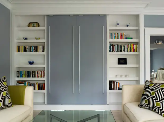 Living room with folding bed stylized closet.