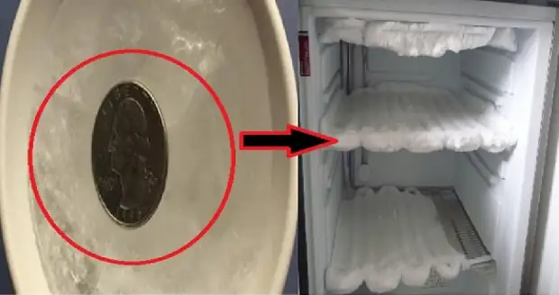 Nyésakeun liburan, ninggalkeun koin dina freezer ... Ayeuna anjeun bakal ngalakukeun anu sami!