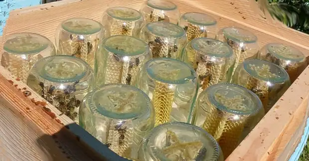 Mel de inmediato nos bancos? Unha brillante solución para aqueles que decidiron participar en abellas enxeñosas, mel, abejas, faino vostede mesmo, Honeycombs, Hive