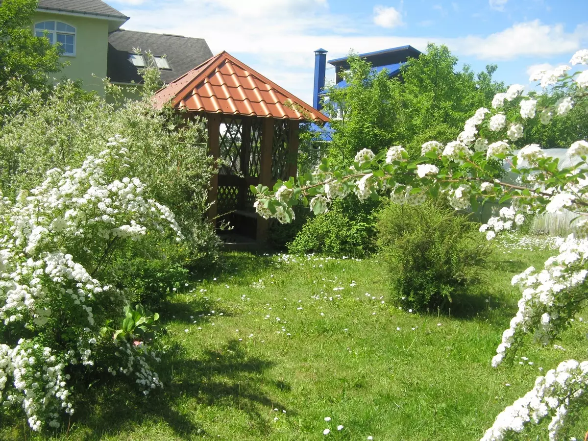 Cottage: mare di verde