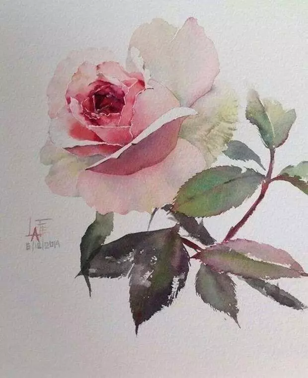 Tunatoa Roses ya Watercolor: darasa la bwana