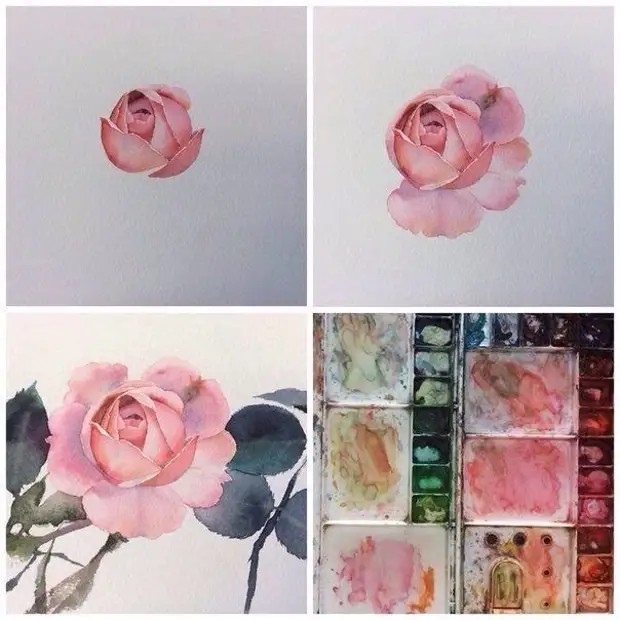 Sinikeza ama-roses we-watercolor: isigaba se-master