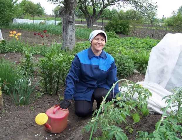 Consigli utili Principianti, ma anche giardini esperti