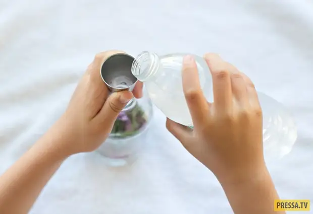 ბუნებრივი საჰაერო freshener ერთად განსაცვიფრებელი გაზაფხულზე არომატით საკუთარი ხელებით (9 ფოტო)