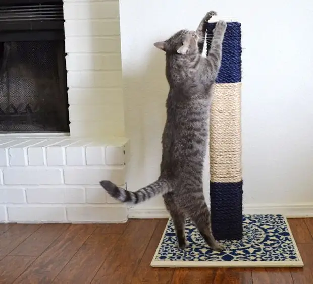 DIY-CAT-Scratching-Post