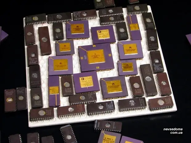 Gooi geen oude processors en sjaals! (14 foto's)