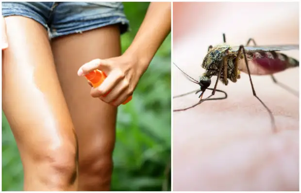 Jak zrobić bardzo "pyszny" spray, który będzie chronić przed komary w dowolnym momencie roku