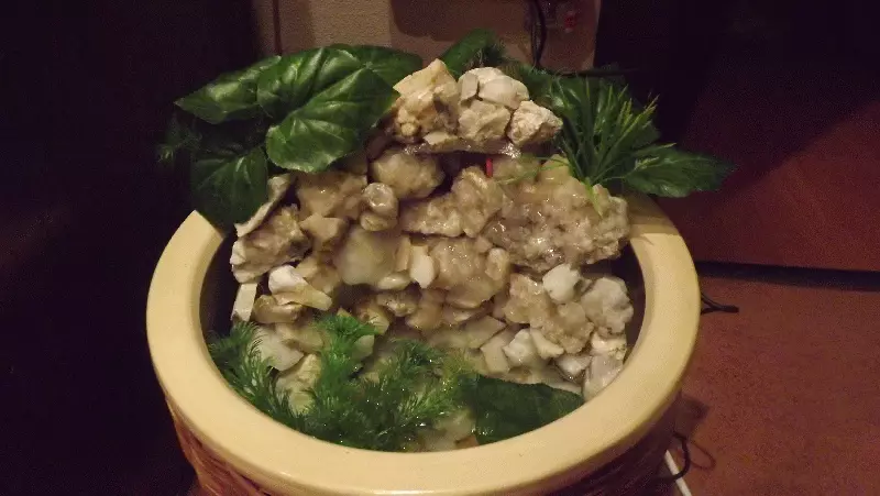 Waterfall in the pot