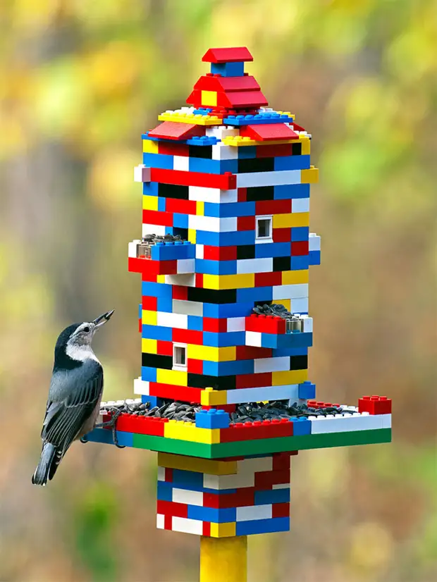 Bird Weeder တောက်ပသောအကြံဥာဏ်များ, ဒီဇိုင်နာ, Lego