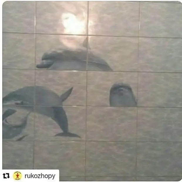 Shunchaki delfin qiziqarli, qo'l, quruvchilar, hazil qilmadi