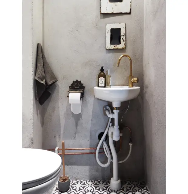 How to paint the walls in a tiny toilet: 10 ideas