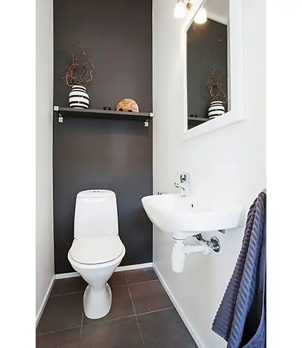 How to paint the walls in a tiny toilet: 10 ideas