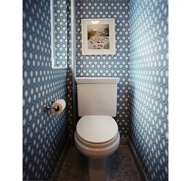 Jak malovat stěny v malém záchodě: 10 nápadů