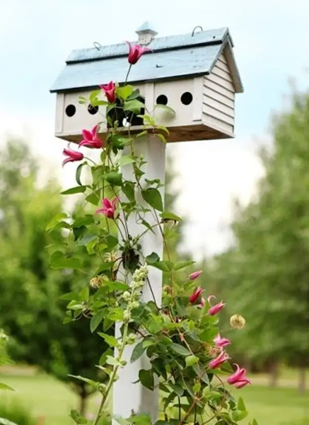 Délicieux bouquets pour votre jardin