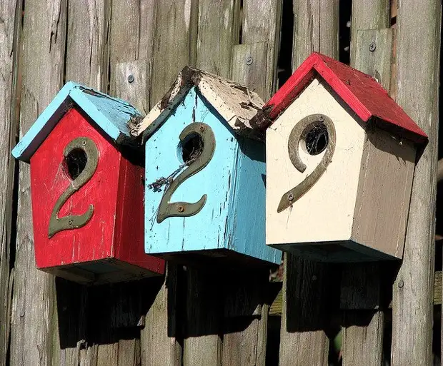 Heerlijke trossen voor je tuin