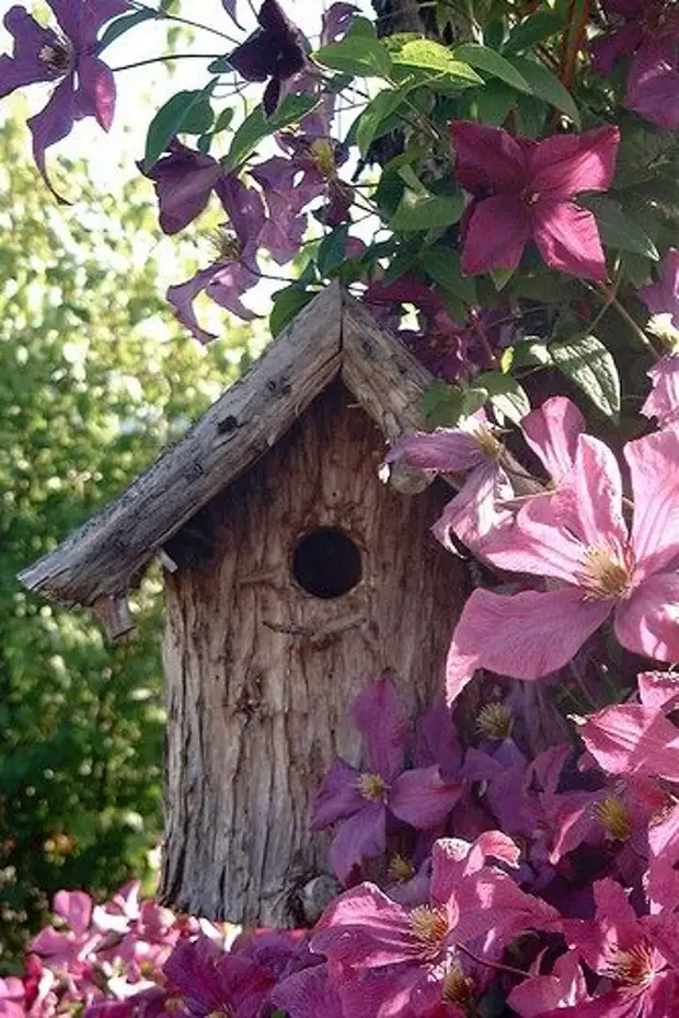 Délicieux bouquets pour votre jardin