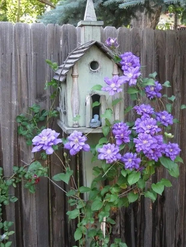 Delightful Bunches for Your Garden