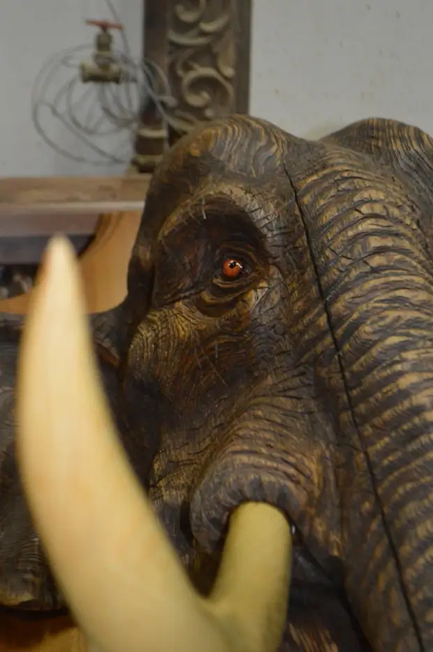 大象。由電鋸亞歷山大伊亨科，電鋸，雕塑鋸，大象鋸，橡木大象