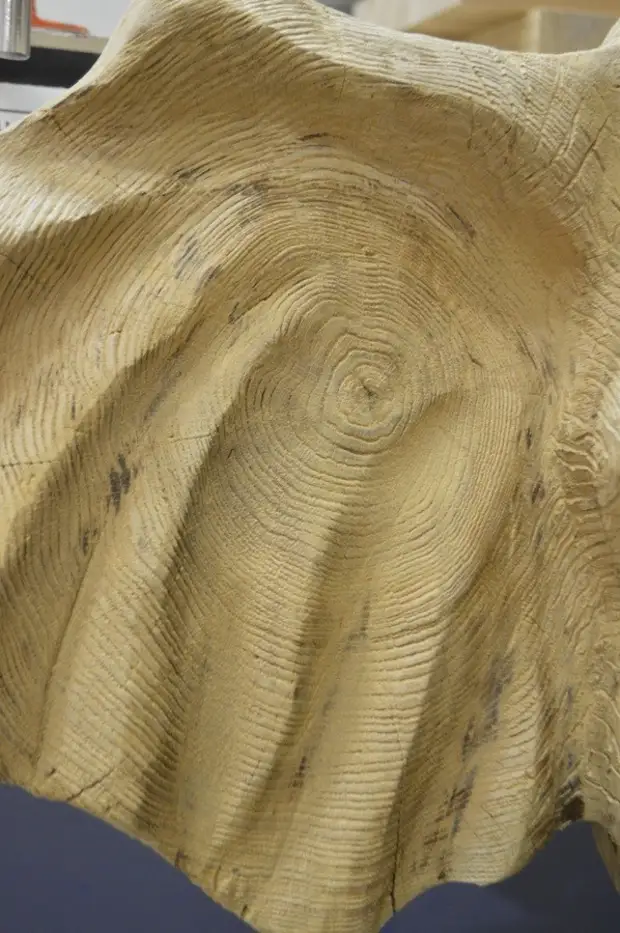 Dramblys. Pagamintas grandiningas pjūklas Alexander Ivchenko, grandininiai pjūklai, skulptūros grandininis pjūklas, dramblys grandininiai pjūklai, ąžuolo dramblys