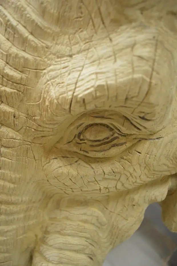 Слон. Направени от верижни триони Александър IVCHENKO, тризайсет, скулптурна верижна верижка, верижен слон, слон от дъб