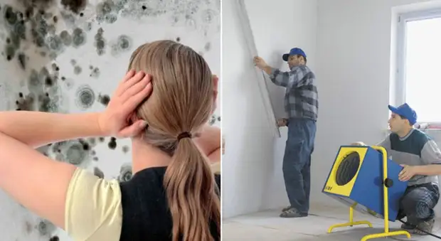 Cum să scapi de mucegai în casă pe pereți