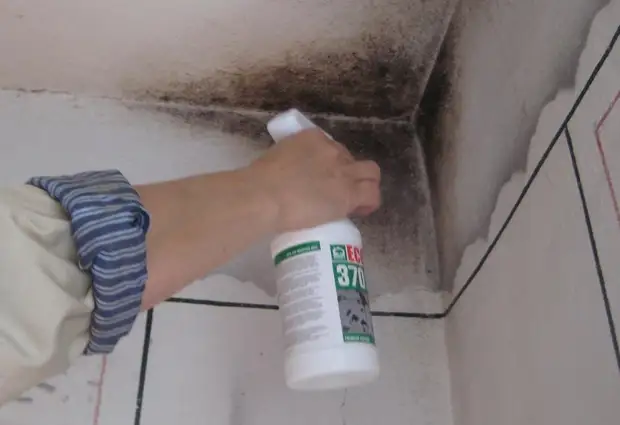 Cum să scapi de mucegai în casă pe pereți