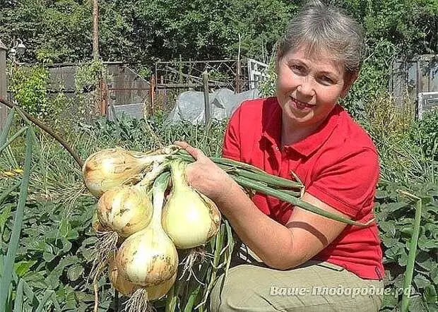 10 Secrets of Good Bunk Harvest