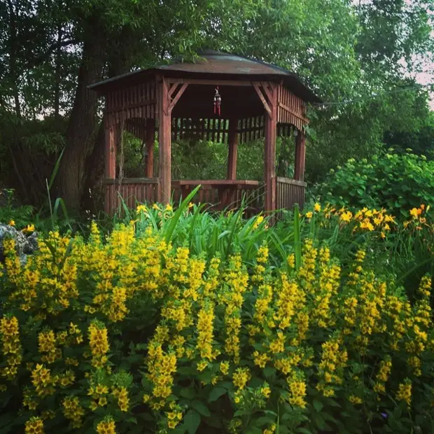 Garden Gazebo Doe het zelf