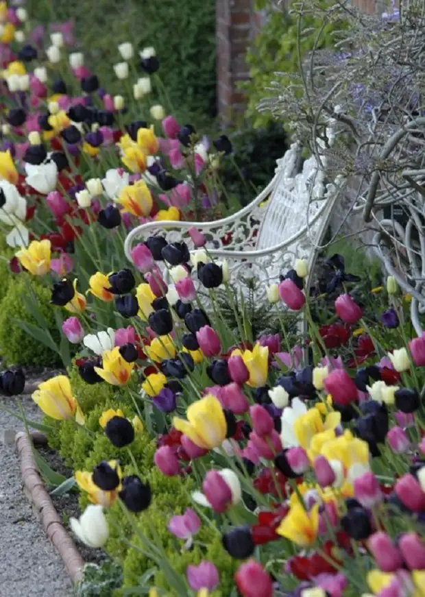 Los jardineros hábiles compartían ideas fascinantes de los clubes de primavera