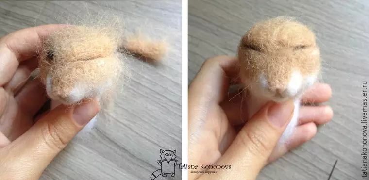 Hamster Toy