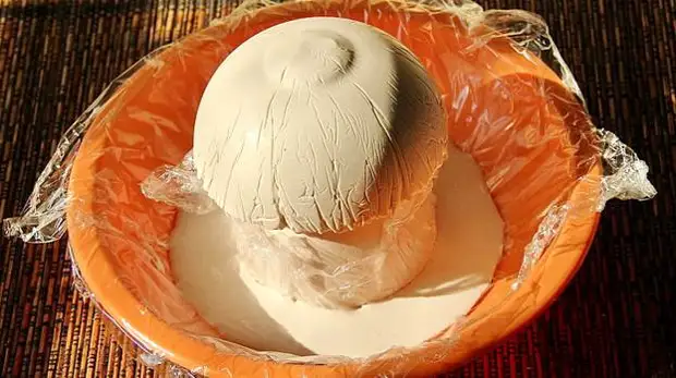 Mushroom làm bằng thạch cao