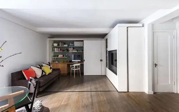 TSZnformer Apartman u New Yorku: 5 soba za 36 m2. M. Dizajn, unutrašnjost, stan, popravak