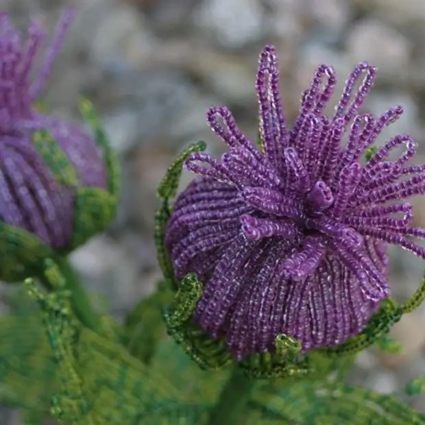 Beaded plants för vilka du kan beundra klockan: idéer för inspiration