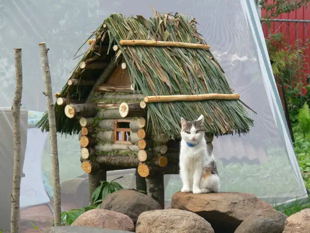 Rumah log rumah hiasan di kawasan negara dengan tangan mereka sendiri