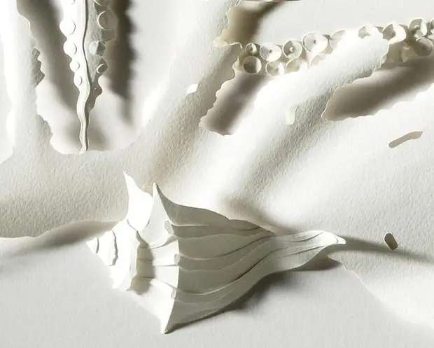 Paper sculptures Daryl Ashton. Photo