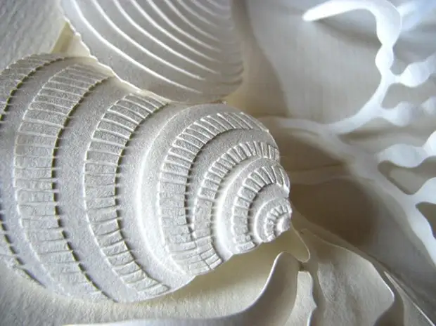 Paper sculptures Daryl Ashton. Photo