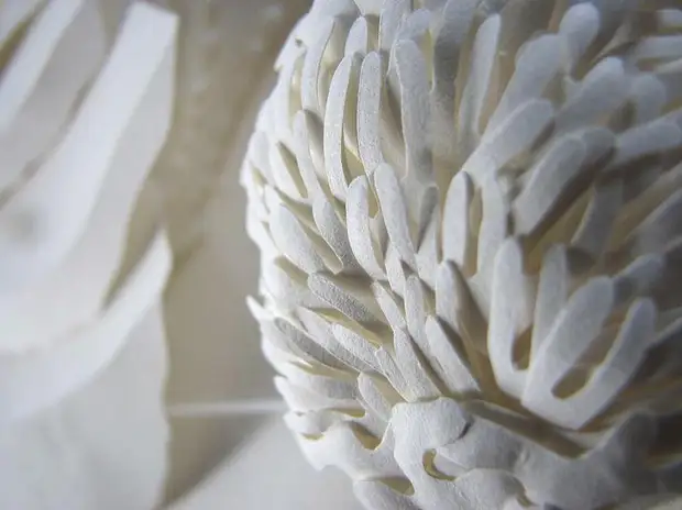 Paper sculptures Daryl Ashton. Photo