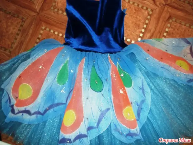 Carnival suit: butterfly fairy dress