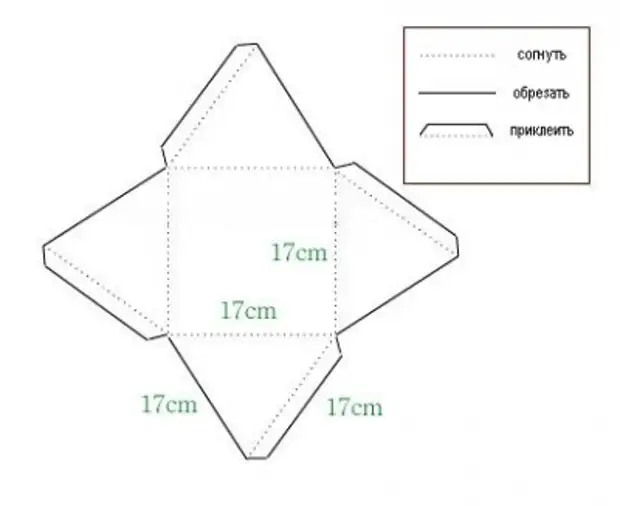 Tree Box (1)